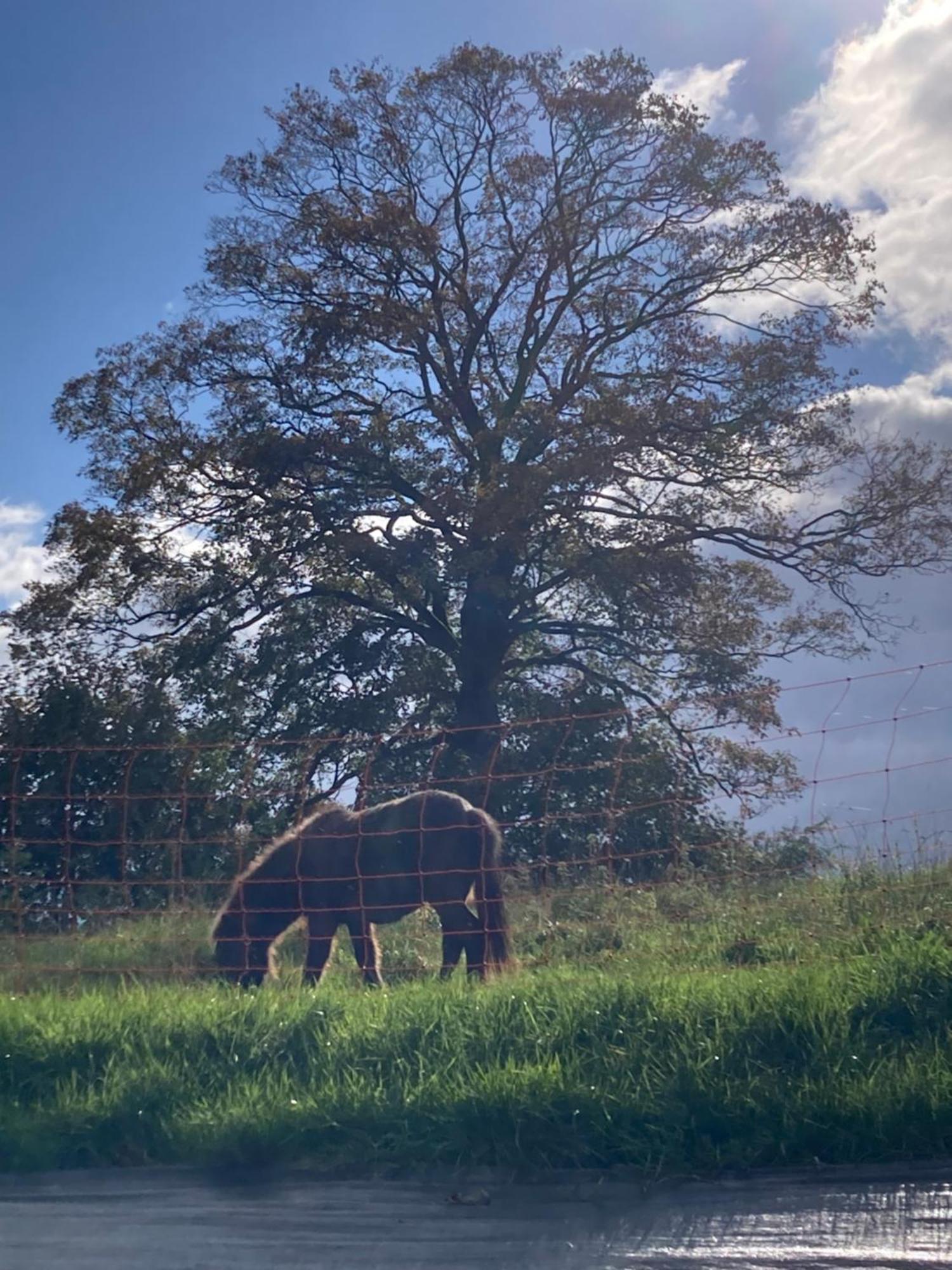 O Secret Du Werihay Bed & Breakfast Spa Eksteriør bilde